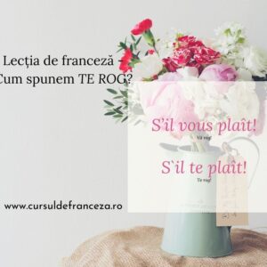 Lecția de franceză – Cum spunem TE ROG?